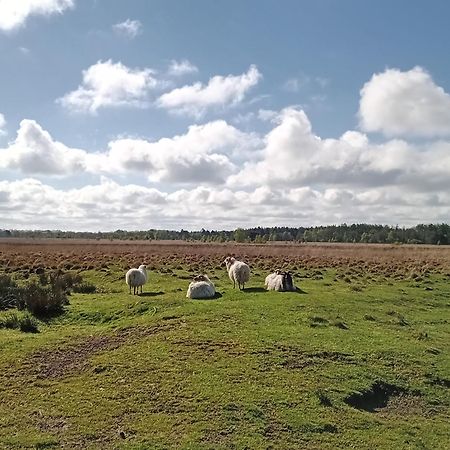 Ruim Huisje Op Een Prachtige Plek Hemrik Exteriér fotografie