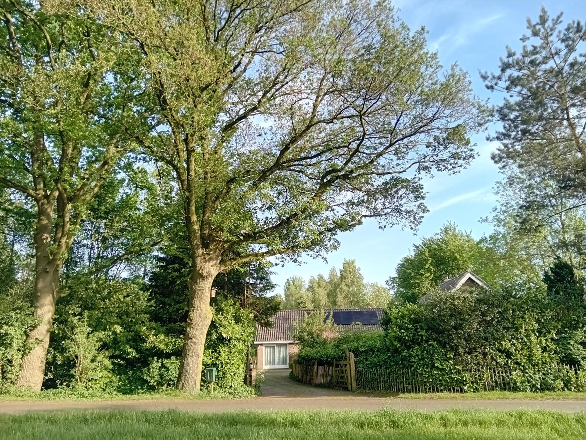 Ruim Huisje Op Een Prachtige Plek Hemrik Exteriér fotografie
