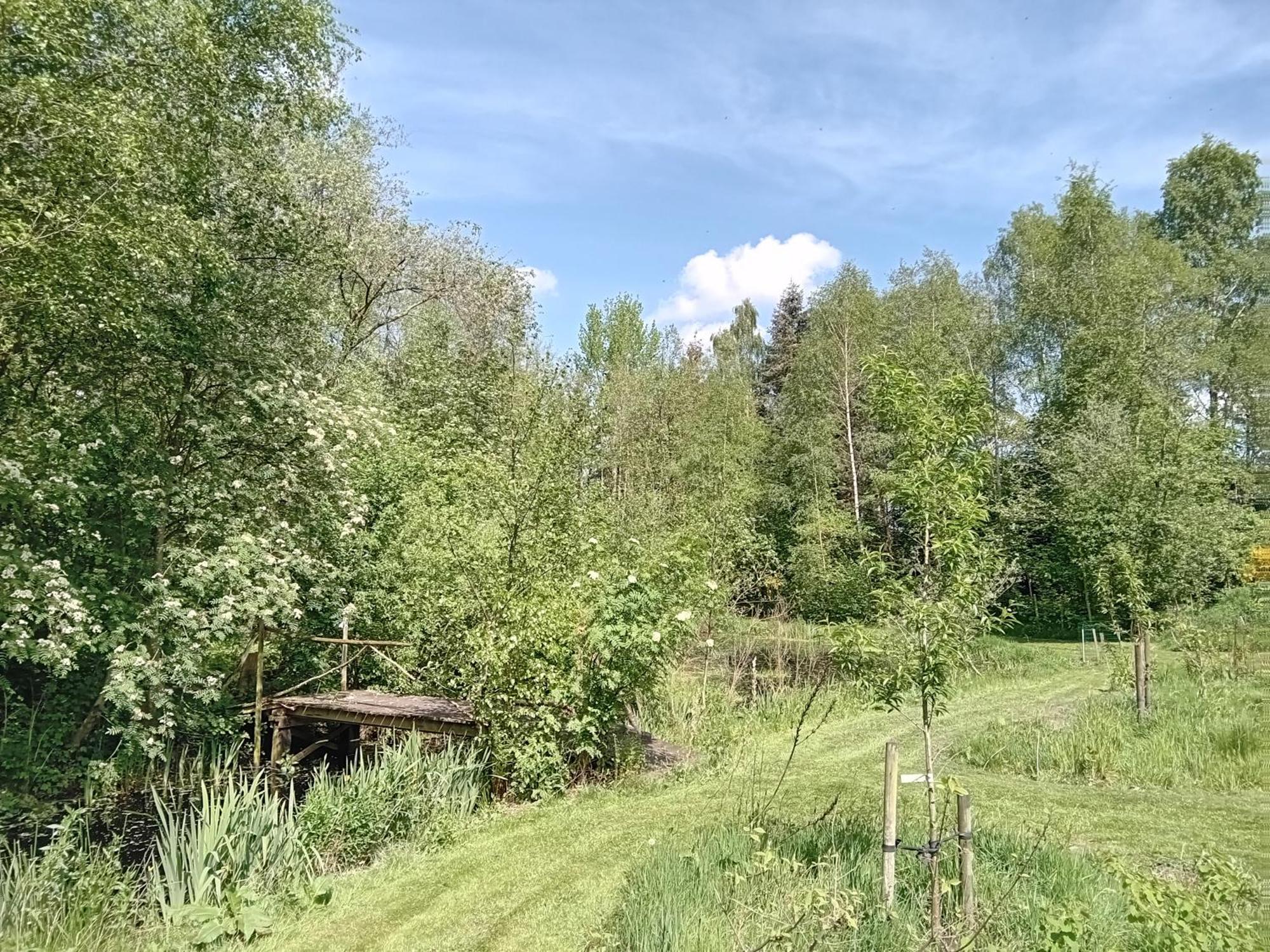Ruim Huisje Op Een Prachtige Plek Hemrik Exteriér fotografie