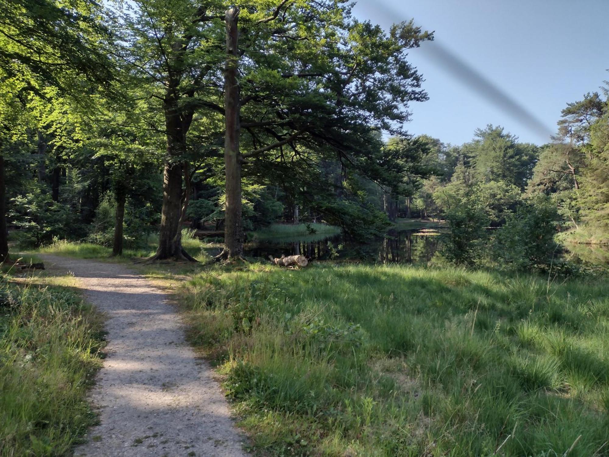Ruim Huisje Op Een Prachtige Plek Hemrik Exteriér fotografie